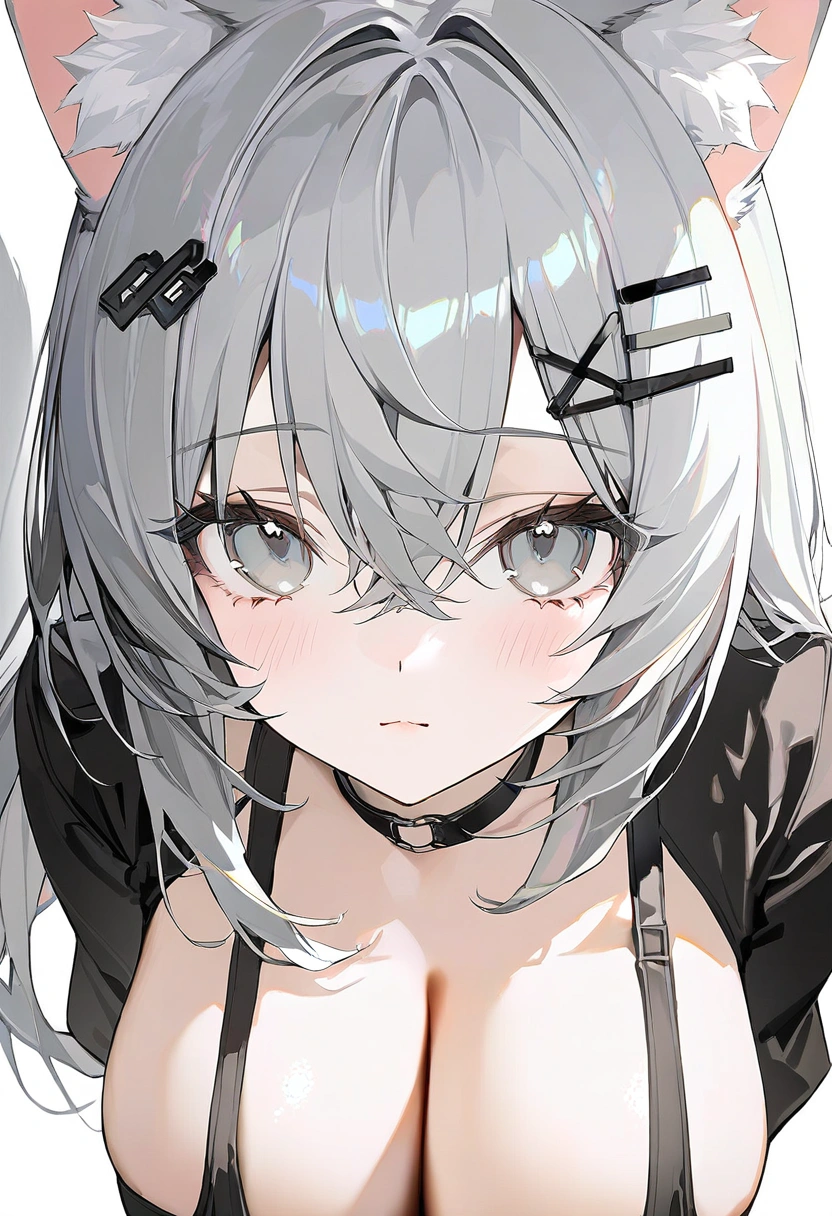 1000.webp
