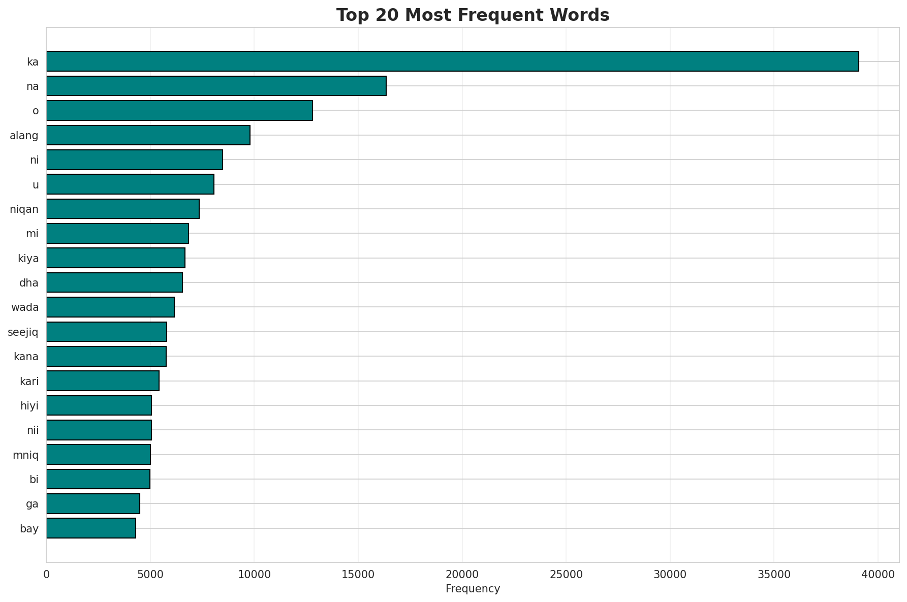 Top Words
